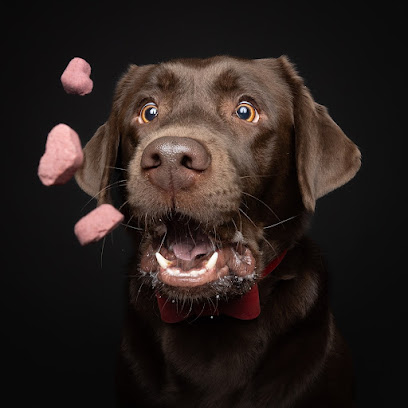 Magnucki Fotografie - Tierfotografie in Bielefeld