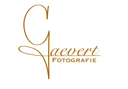 Alexander Gaevert - Fotograf aus Dormagen – Bild 3