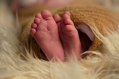 Little Dreams Photography