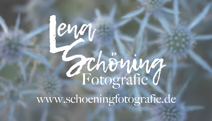Lena Schöning Fotografie