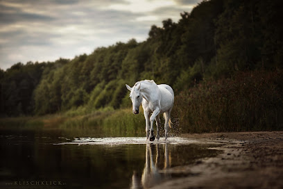 KLISCHKLICK Fotografie Severin Klisch