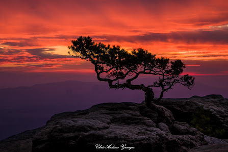 Chris Andreas Kopsch Photography – Bild 5