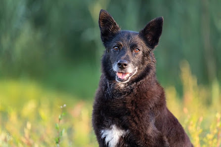 Birgit Zimmermann Fotografie – Bild 3