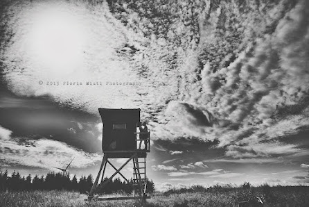 Florin Miuti Fotografie – Bild 5