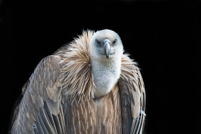 AugenBlick Fotografie