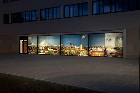 Alexander Vejnovic – Bild 2