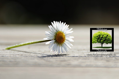 HL-Fotografie (Fotografie und Webdesign)