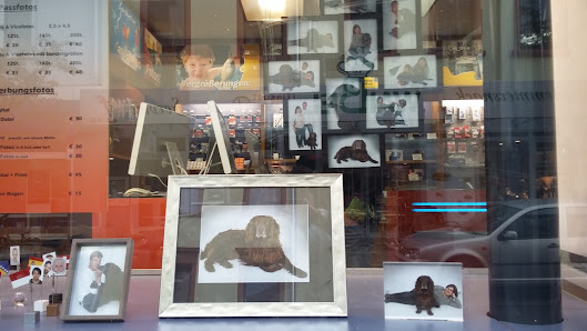Foto Firlé – Bild 3