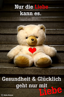 Fotostudio McBild – Bild 4
