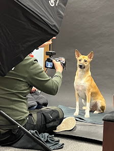 Magnucki Fotografie - Tierfotografie in Bielefeld – Bild 4