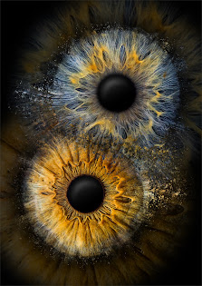 Eyepixx Iris-Fotografie Essen – Bild 2