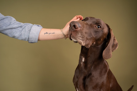 Nael Fotografie & Fotostudio – Bild 6