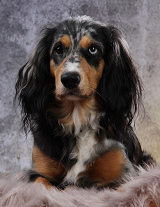 Foto Studio Malthaner – Bild 2