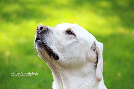 ARTschie Fotografie – Bild 2