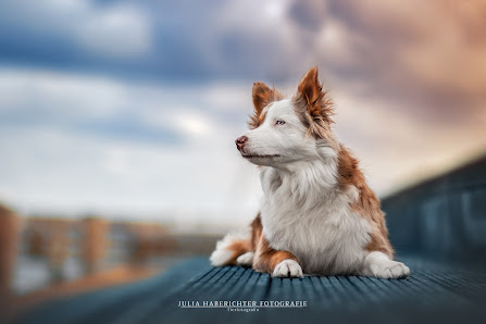 Julia Haberichter Fotografie – Bild 4