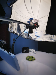 kielphoto Oliver Staack – Bild 4