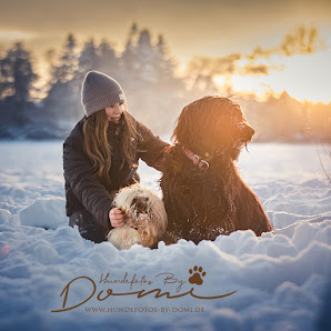 Hundefotos By Domi - Dominika Stollenwerk – Bild 4