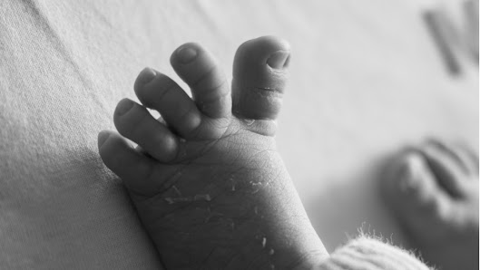 Lindas Linse Fotografie – Bild 5
