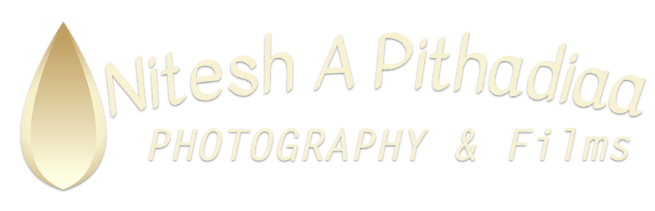 Nitesh A Pithadiaa Photography – Bild 3