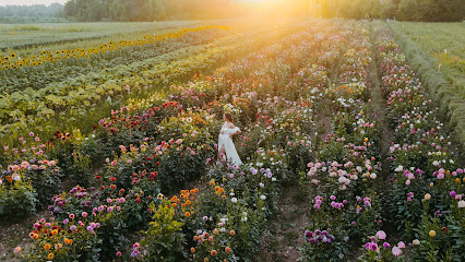 Sissy Isabella Fotografie