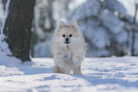 Birgit Benjamins Fotografie – Bild 5