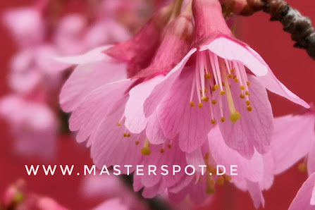 Karen Köhler - fotografie, layout, webdesign – Bild 4