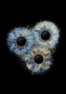 Eyepixx Iris-Fotografie Hamburg – Bild 3