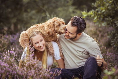 Hundefotos By Domi - Dominika Stollenwerk