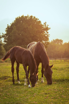 Drawn Lights Fotografie – Bild 2