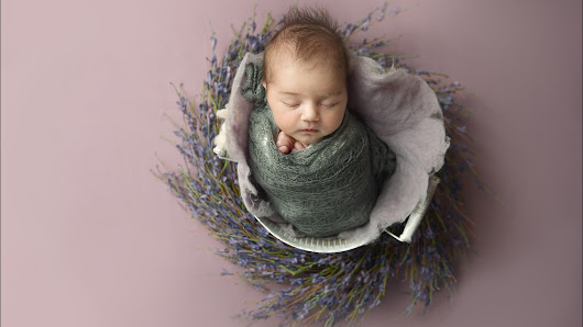 Ellen Schwarz Photography – Bild 2