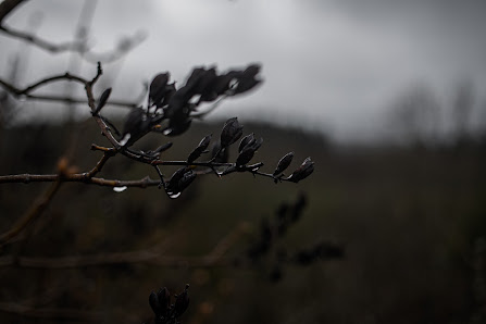 Ablichter – Bild 6