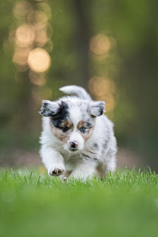 Herzensmomente Fotografie – Bild 6